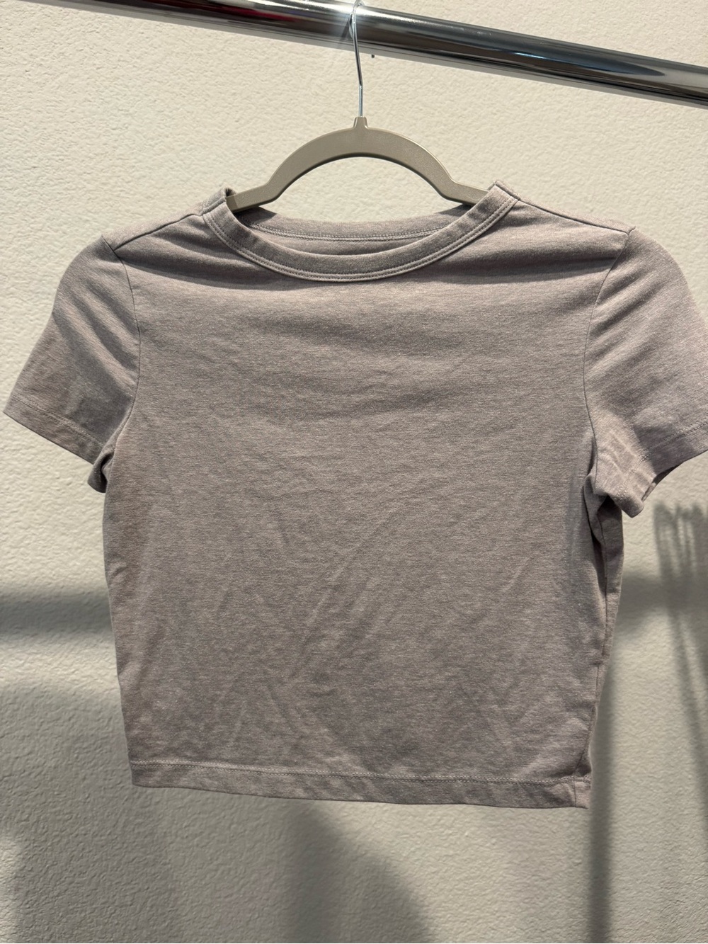 wild fable Light Mauve Cropped Tee
